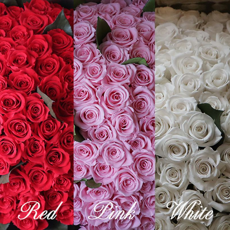 108本のバラの花束で永遠を誓う プロポーズ |Red額入り